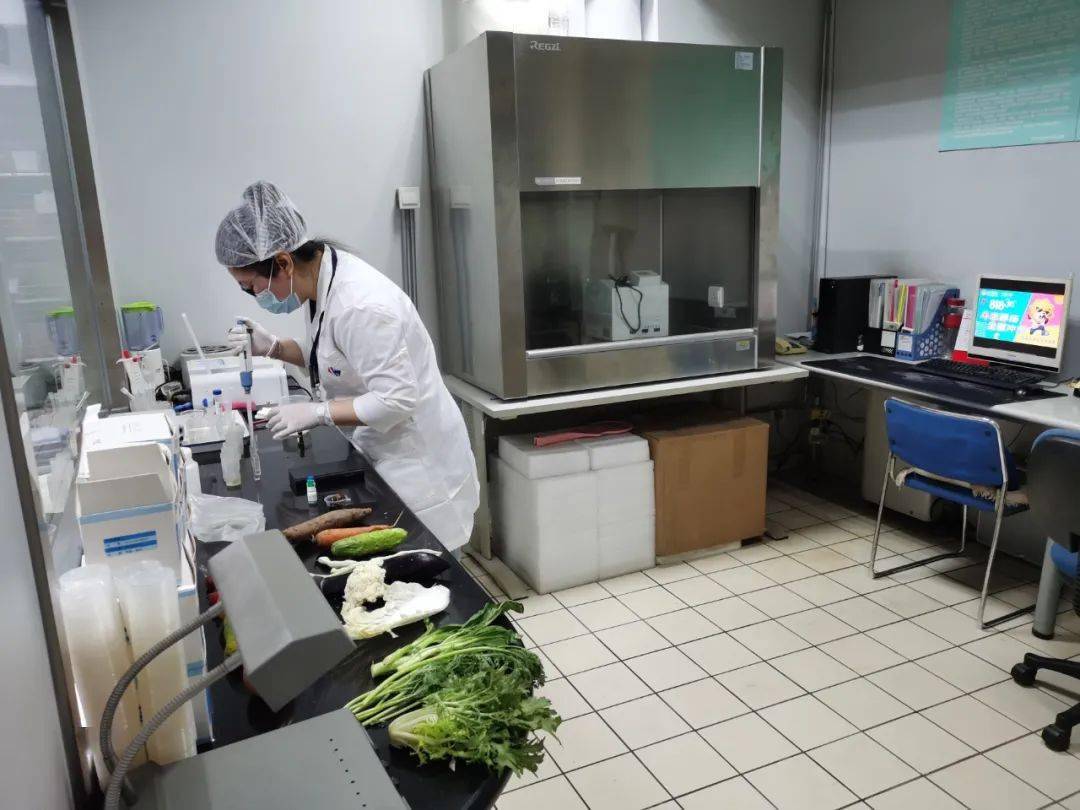 赫山食品检测实验室装修方案